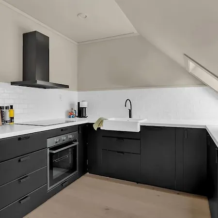 Luxurious Penthouse In The Middle Of City Center Appartement